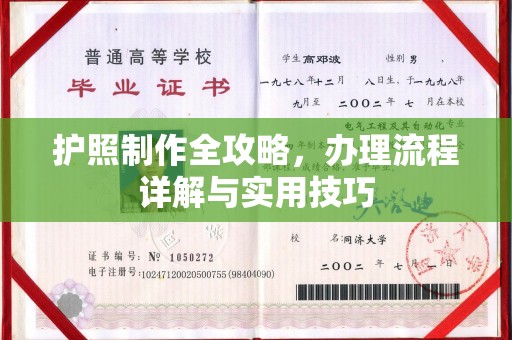 古塔护照制作全攻略，办理流程详解与实用技巧