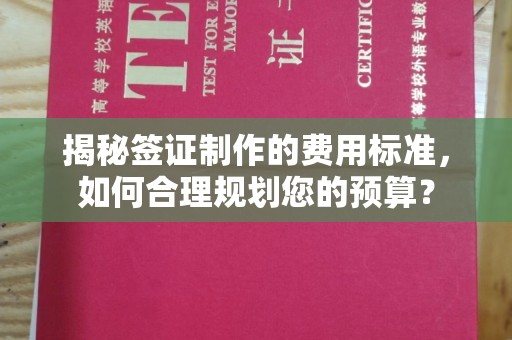 古塔揭秘签证制作的费用标准，如何合理规划您的预算？