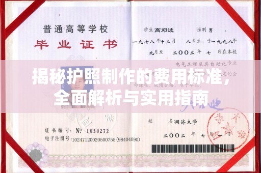 古塔揭秘护照制作的费用标准，全面解析与实用指南