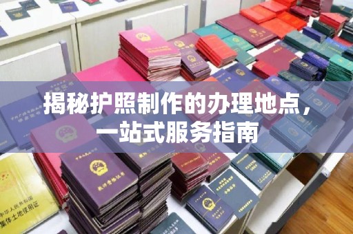 古塔揭秘护照制作的办理地点，一站式服务指南