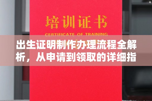 古塔出生证明制作办理流程全解析，从申请到领取的详细指南