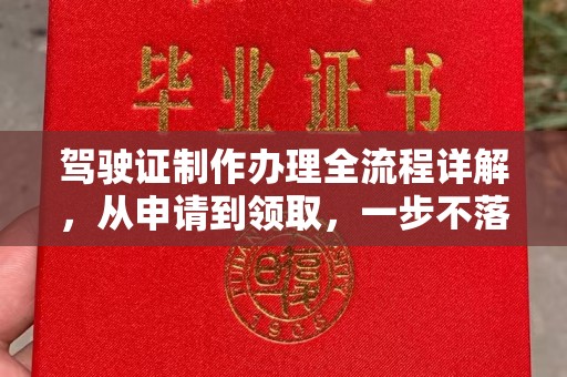 古塔驾驶证制作办理全流程详解，从申请到领取，一步不落