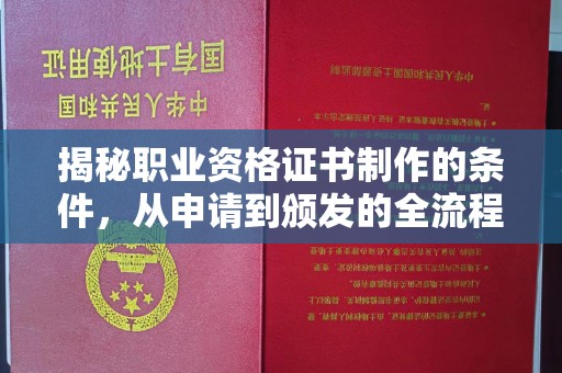 古塔揭秘职业资格证书制作的条件，从申请到颁发的全流程解析