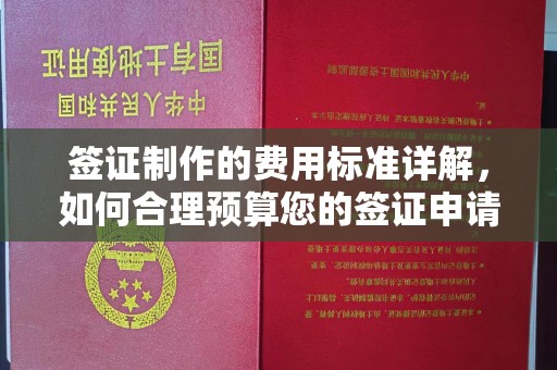 古塔签证制作的费用标准详解，如何合理预算您的签证申请成本